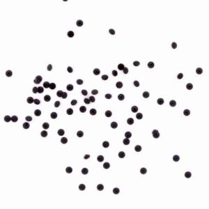 Swarovski strass jet 280 SS5 100pcs - Image 2